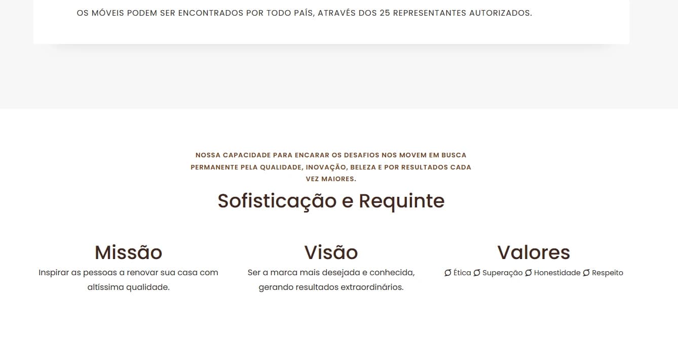Website Completo, Institucional e Catálogo de Produtos - Imagem 2